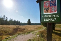 Nový zákon o Šumavě prošel sněmovnou: Skončí zmatky nebo začne výstavba a těžba?
